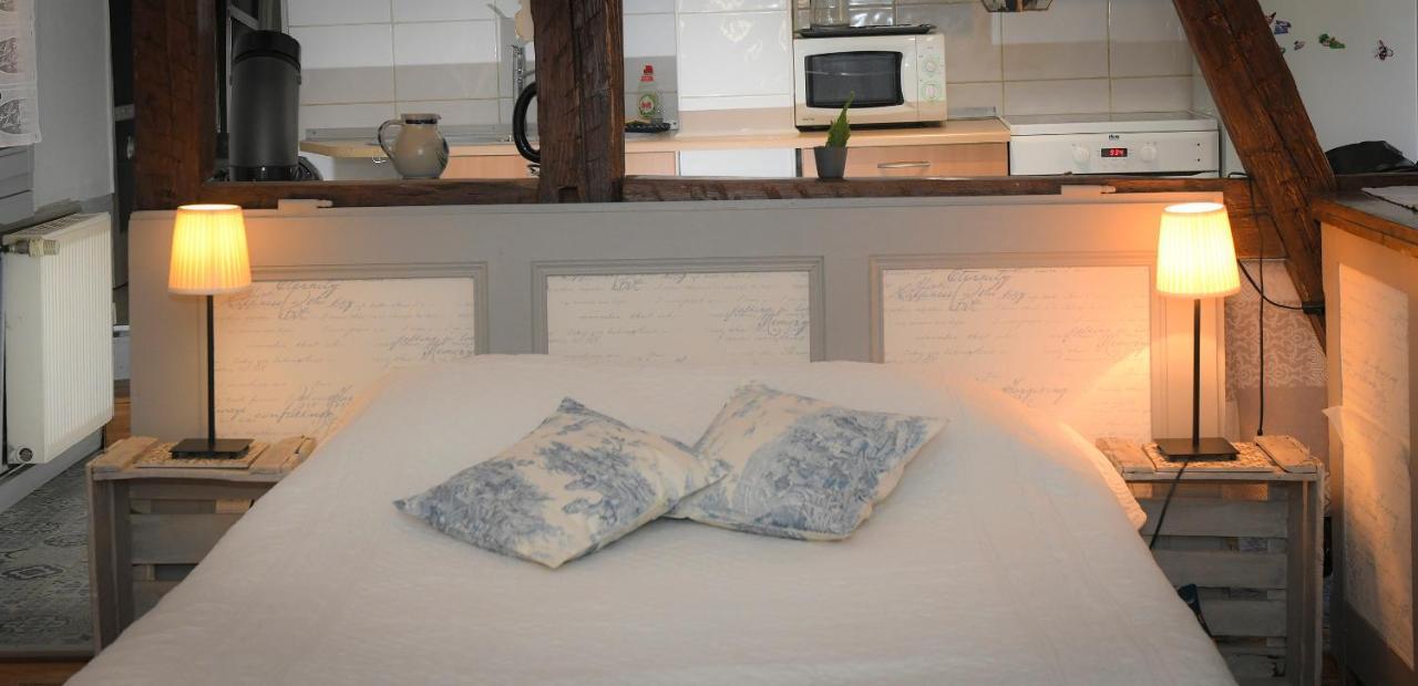 Appartement Le Duplex à Colmar Extérieur photo
